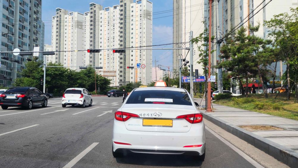 Vehicle traffic light ahead is red · A pedestrian is crossing at the crosswalk