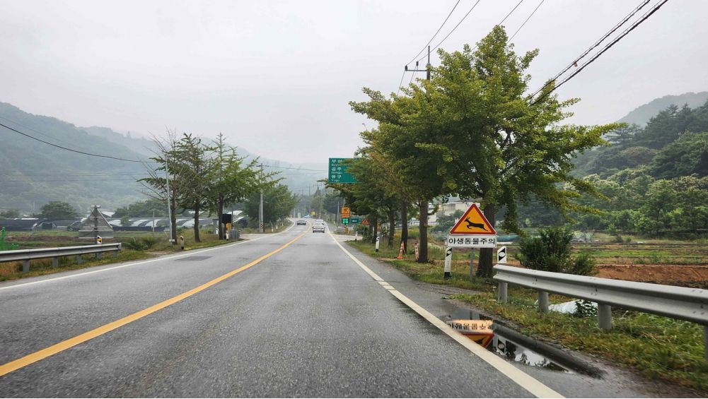 Road surface wet from rain, with puddles · Safety sign on the right side of the road reading "Watch for wild animals"