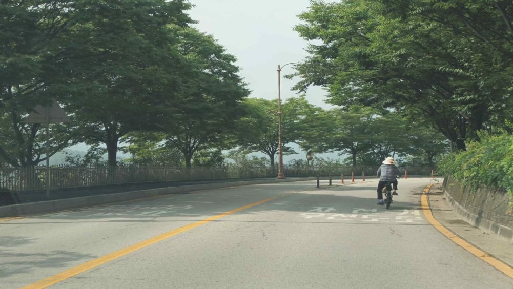 Bicycle priority road · Road curving to the right